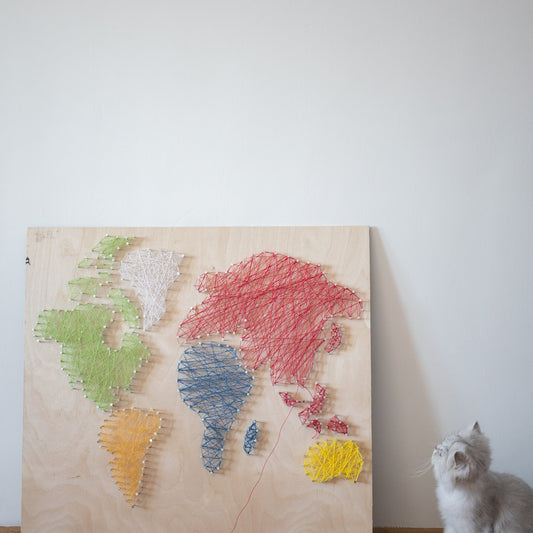 How Cats See The World