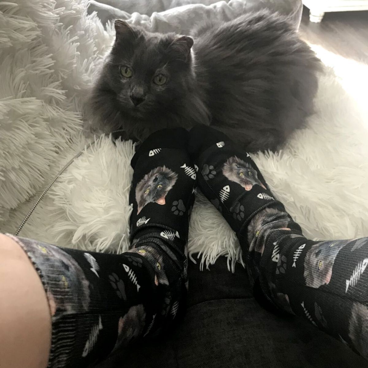 #1 Personalized Cat Socks - Put Your Cat On Socks - CatsForLife